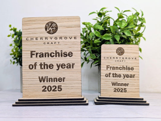 Freestanding Wooden Business Award Trophy – Custom Text & Logo – Franchise of the Year Example – Eco Friendly, Flat Pack, 2 Sizes