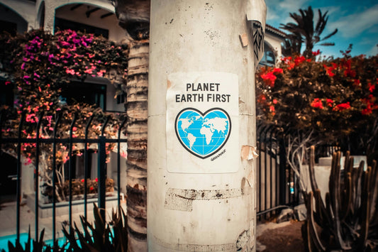 Going Green Pays Off: The Business Case for Eco-Friendly Promotional Items - CherryGroveCraft