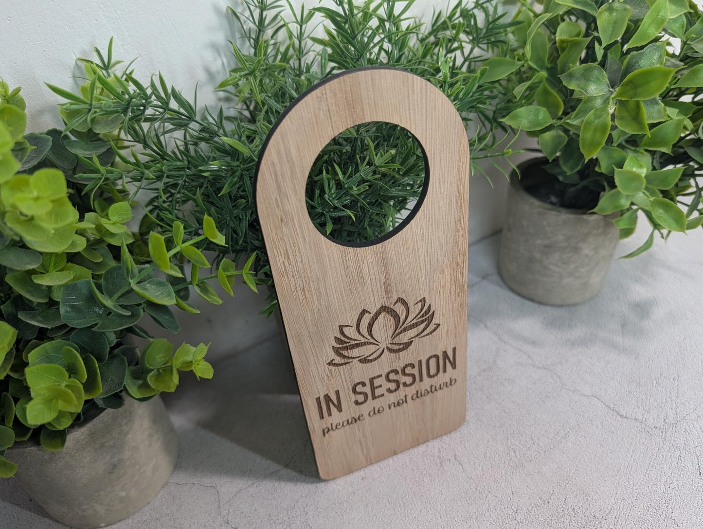 Close-up of the In Session oak door hanger for counselling and private practice rooms