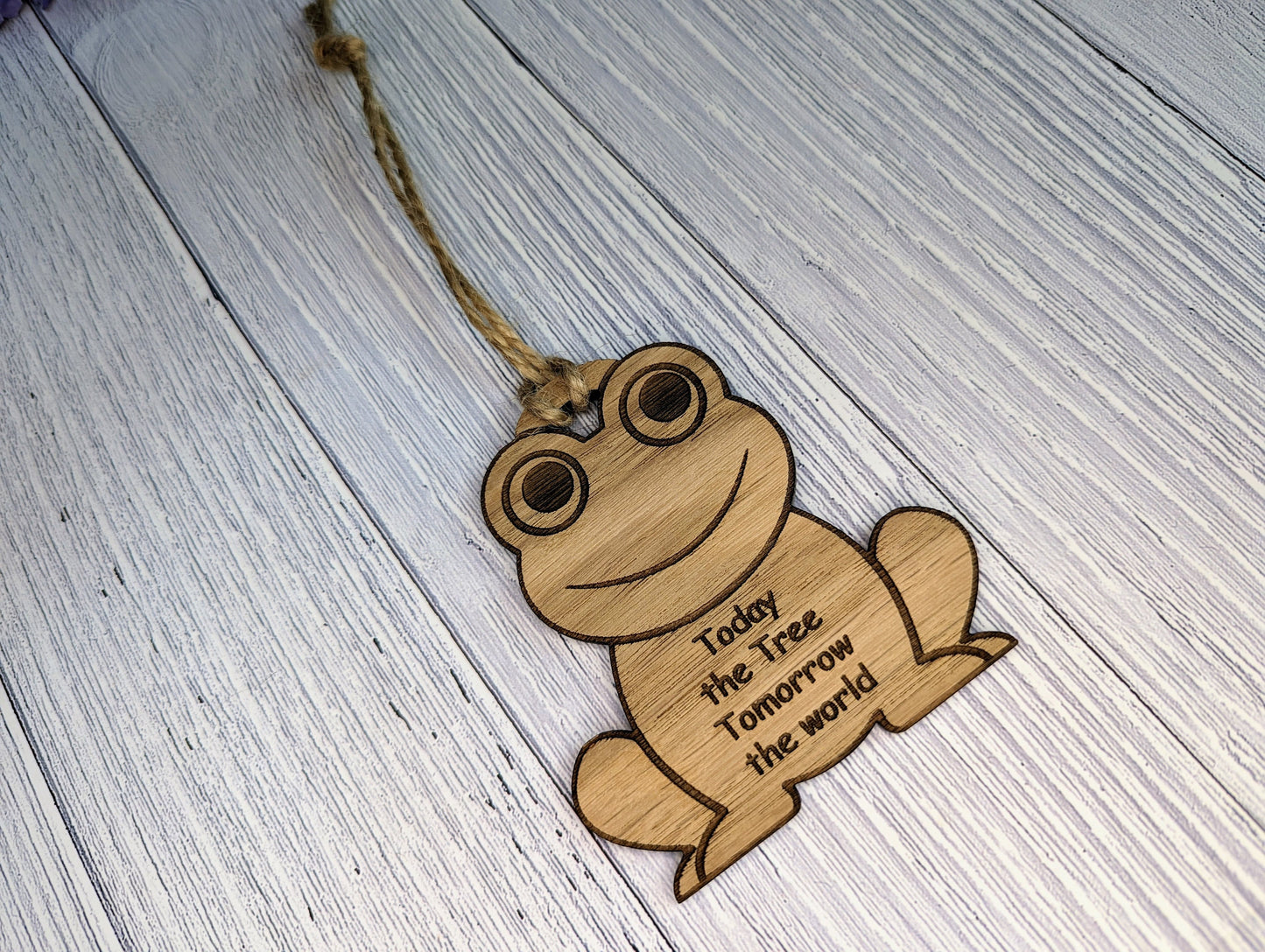 Wooden Frog Bauble | Today The Tree, Tomorrow The World | Can Be Personalised | Oak Veneered MDF