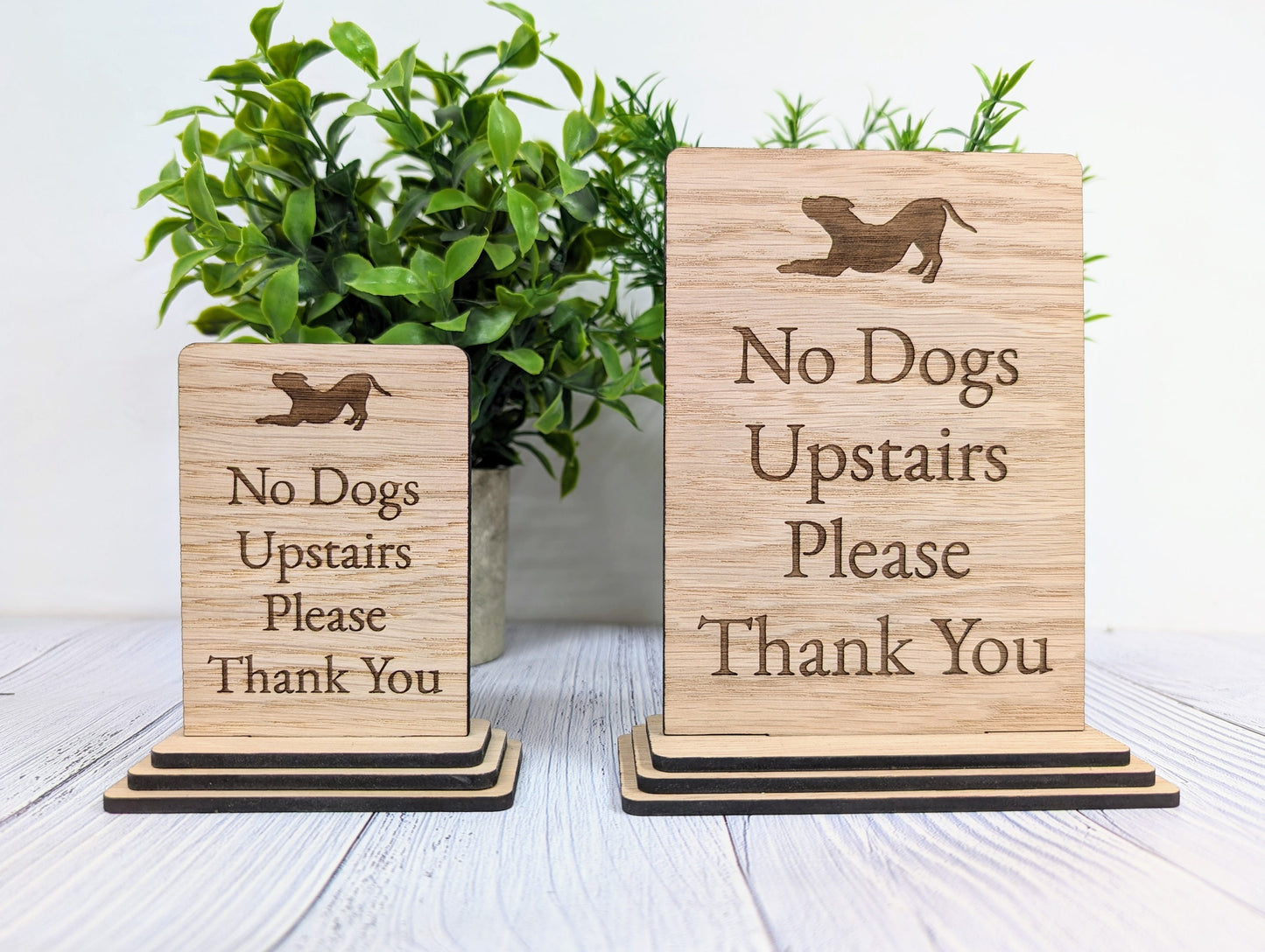 Freestanding "No Dogs Upstairs Please" Wooden Table Sign, Oak Finish, Ideal for Homes, AirBnBs & Rental Properties etc, 2 Sizes