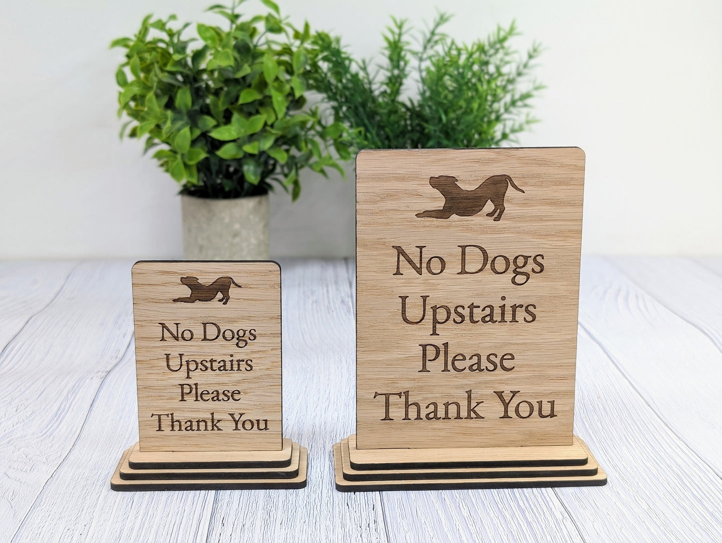 Freestanding "No Dogs Upstairs Please" Wooden Table Sign, Oak Finish, Ideal for Homes, AirBnBs & Rental Properties etc, 2 Sizes