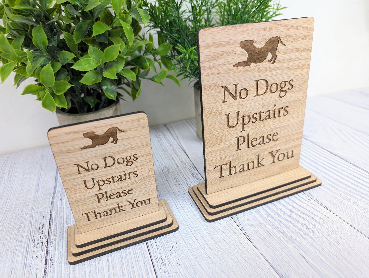 Freestanding "No Dogs Upstairs Please" Wooden Table Sign, Oak Finish, Ideal for Homes, AirBnBs & Rental Properties etc, 2 Sizes