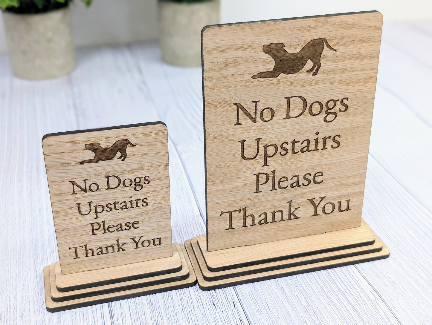 Freestanding "No Dogs Upstairs Please" Wooden Table Sign, Oak Finish, Ideal for Homes, AirBnBs & Rental Properties etc, 2 Sizes