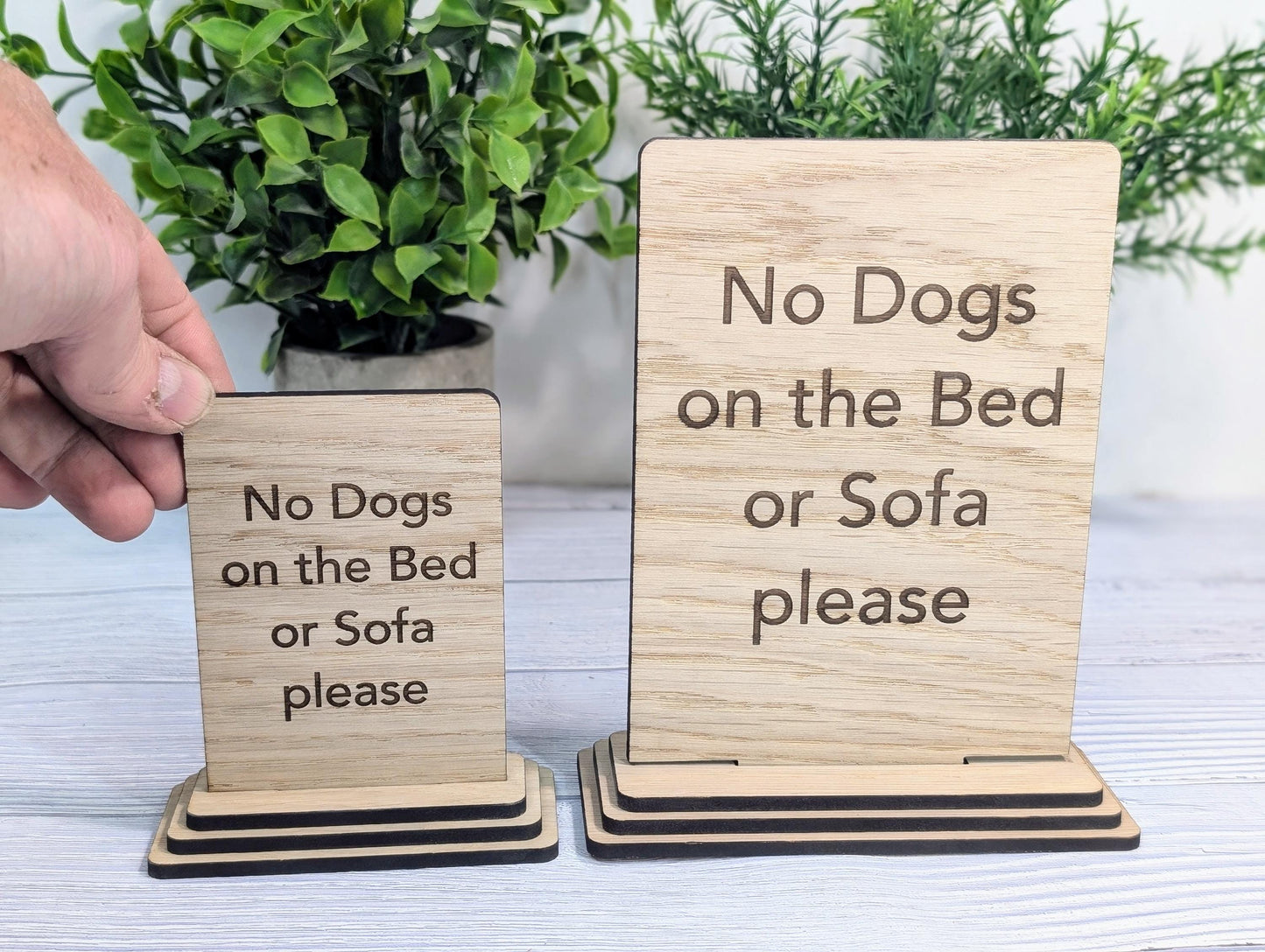 No Dogs on the Bed or Furniture Please | Personalised Wooden Sign | Two Sizes | Custom Pet Rules Freestanding Table Sign | Removable Base