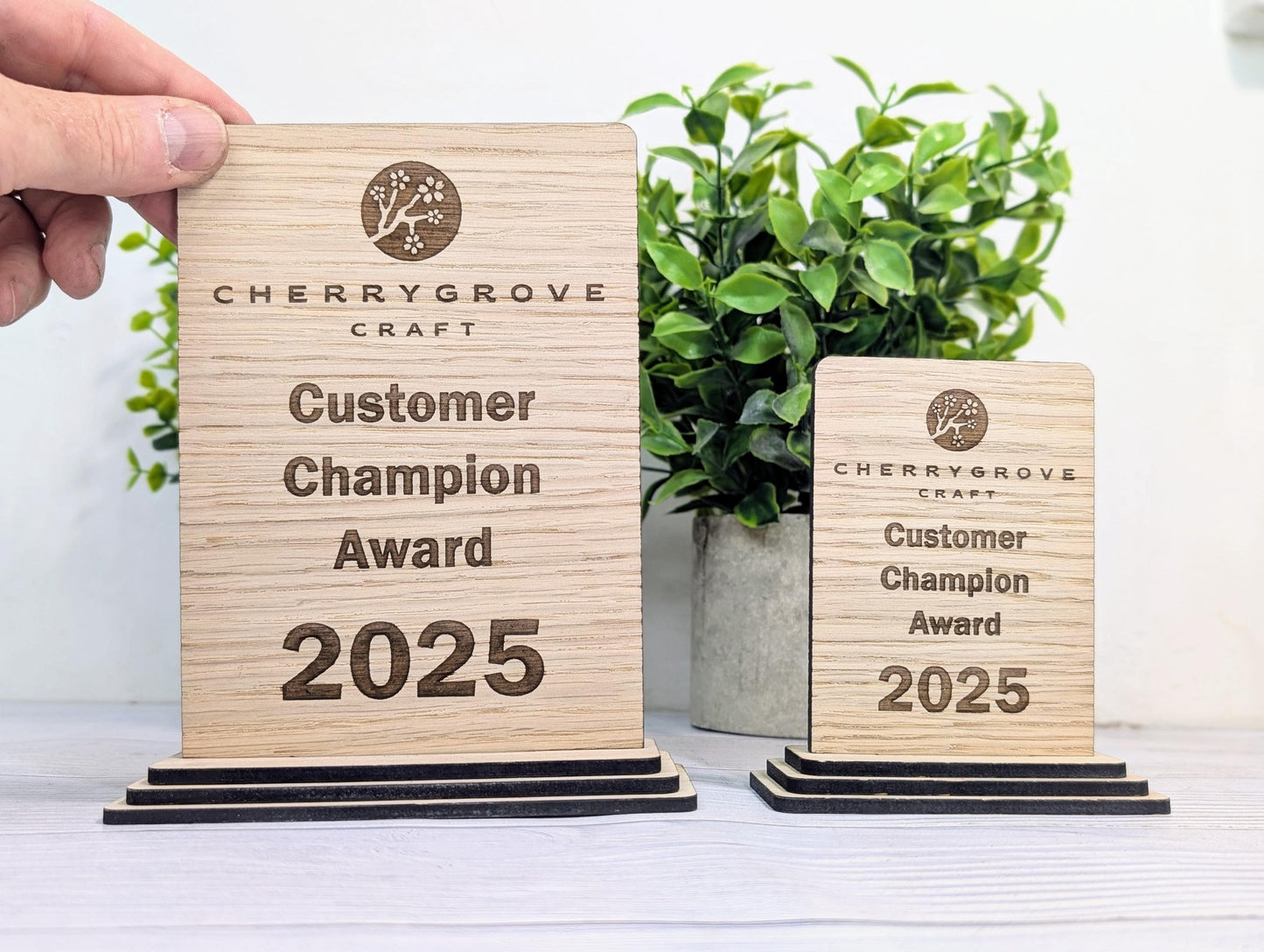 Freestanding Wooden Customer Champion Award – Custom Text and Logo – Oak Finish, Flat Pack Trophy – Eco Friendly Display, 2 Sizes