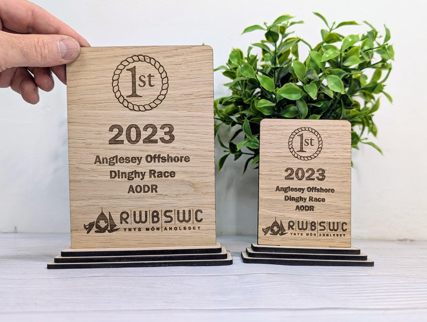 Freestanding wooden sports award trophy in oak veneer — suitable for any club or sport