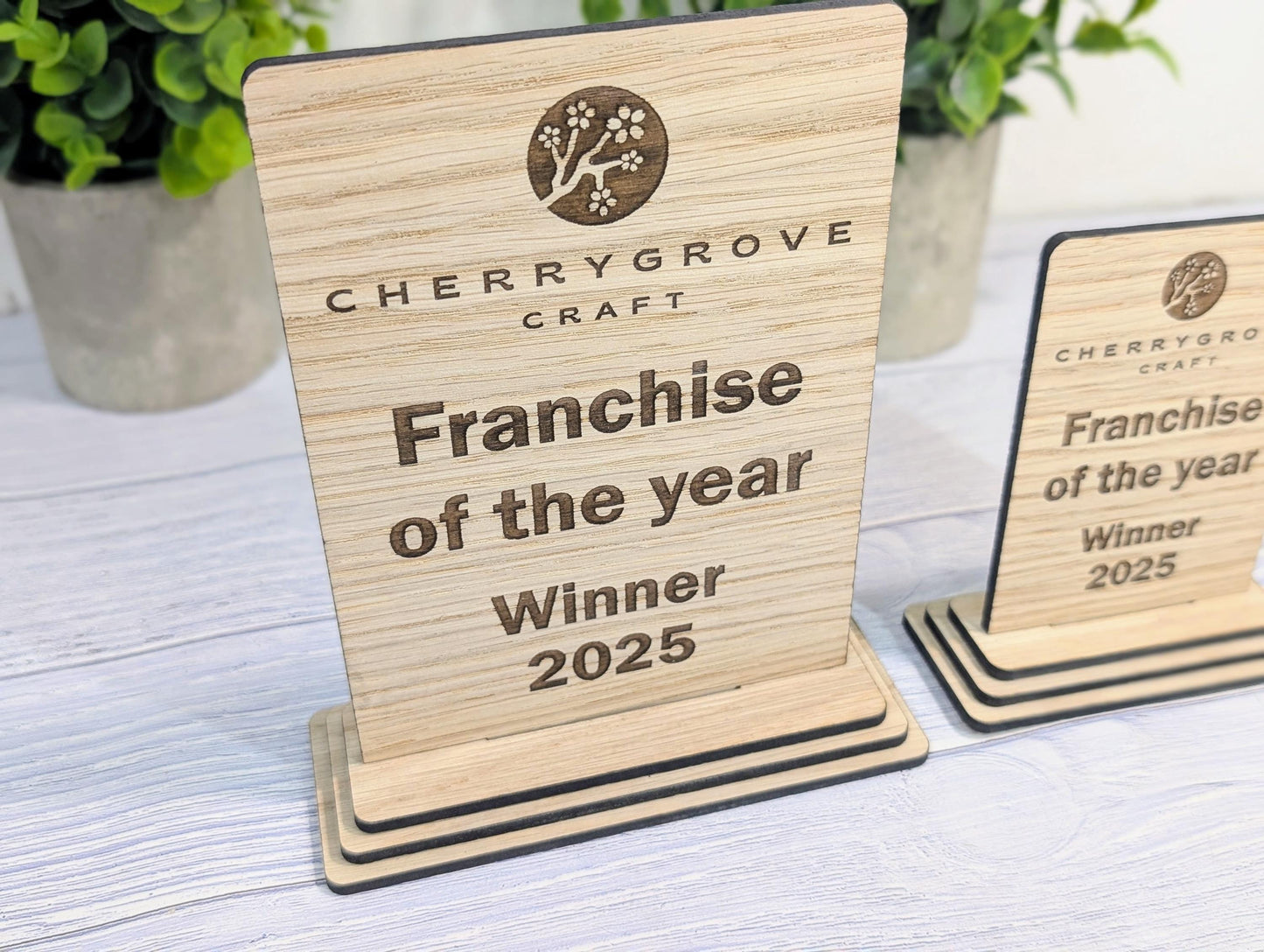 Freestanding Wooden Business Award Trophy – Custom Text & Logo – Franchise of the Year Example – Eco Friendly, Flat Pack, 2 Sizes