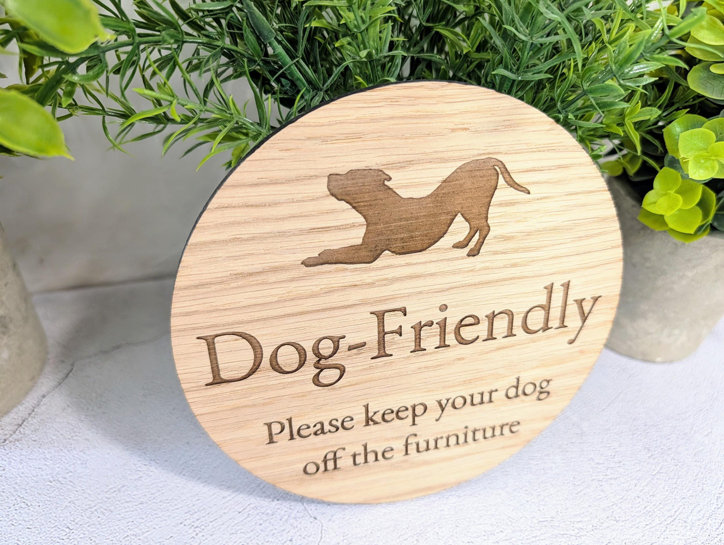 Dog Friendly Sign – Keep Dogs Off Furniture, Circular Oak Veneered Indoor Sign, Handmade in Wales, Plastic-Free Packaging, Pub, B&B, etc