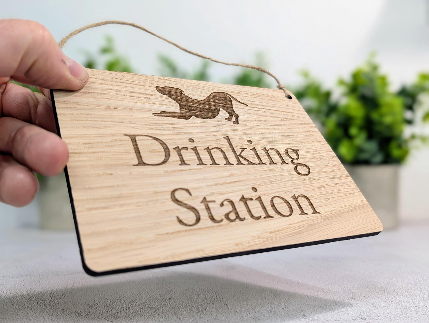 Dog Drinking Station Sign | Hanging Oak Veneer | Cafés & Pubs