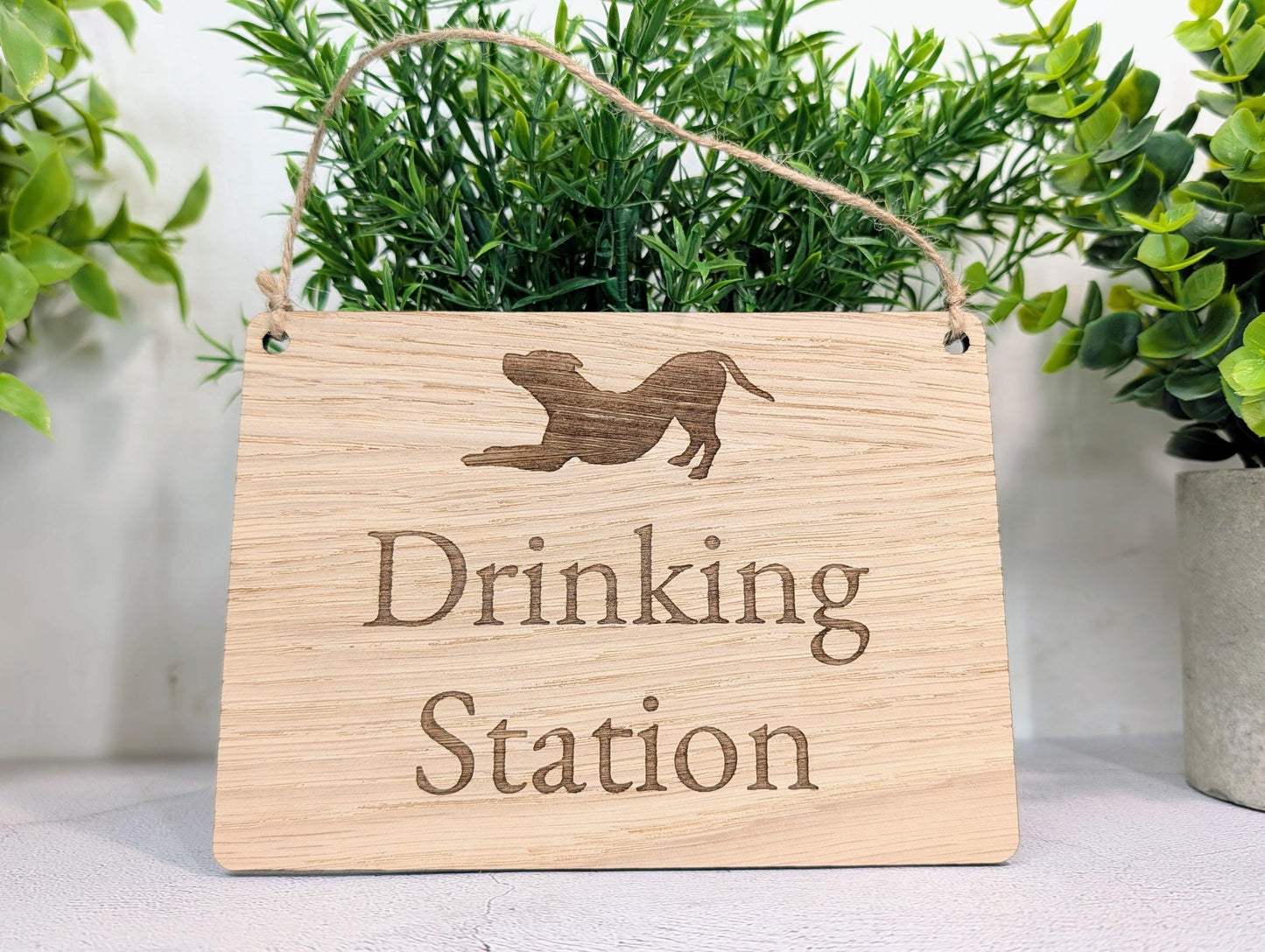 Dog Drinking Station Sign | Hanging Oak Veneer | Cafés & Pubs