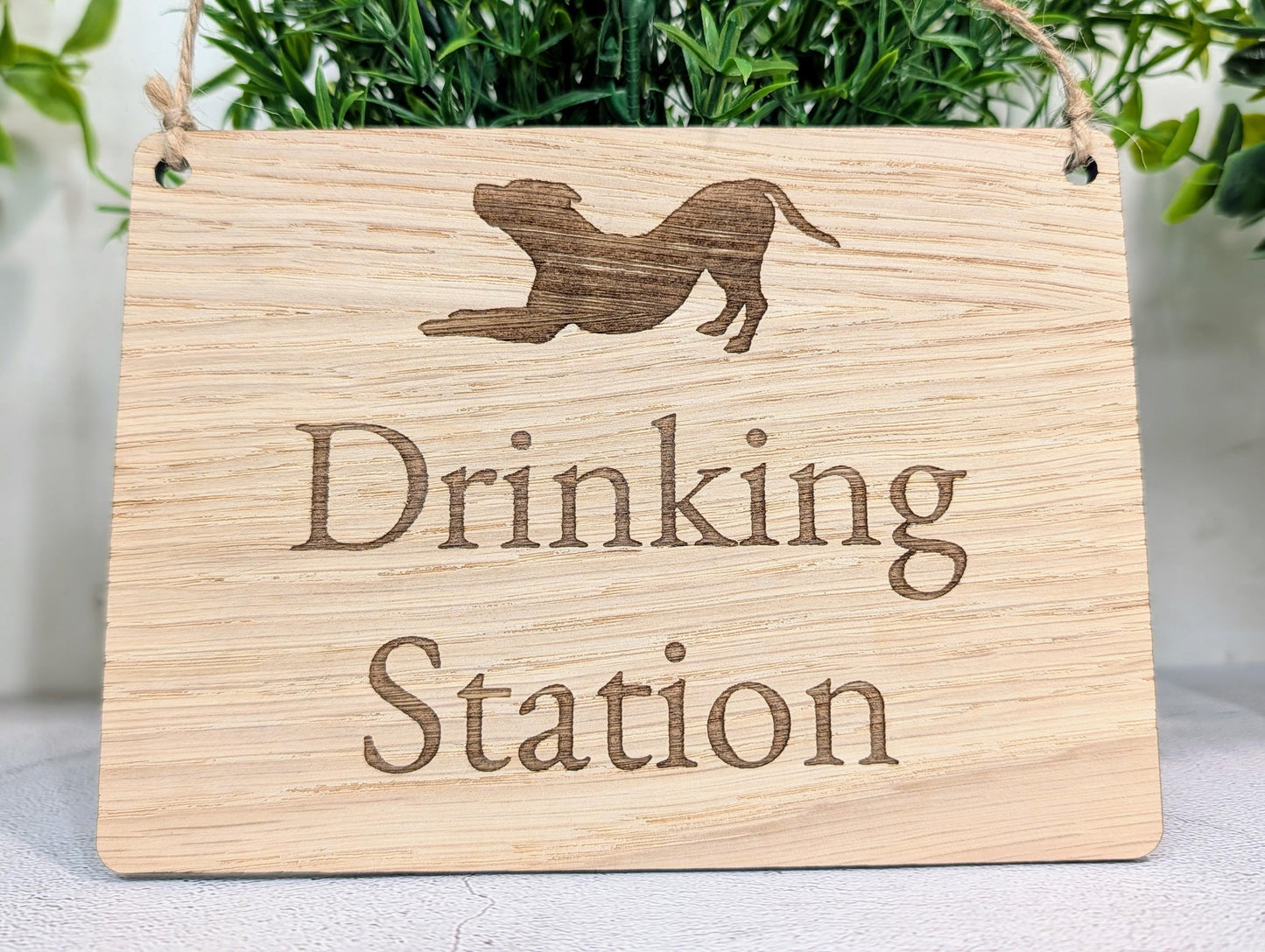 Dog Drinking Station Sign | Hanging Oak Veneer | Cafés & Pubs