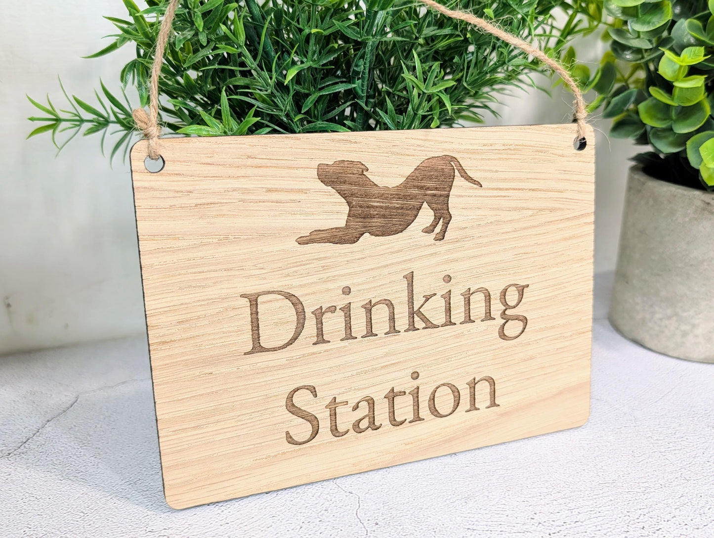 Dog Drinking Station Sign | Hanging Oak Veneer | Cafés & Pubs