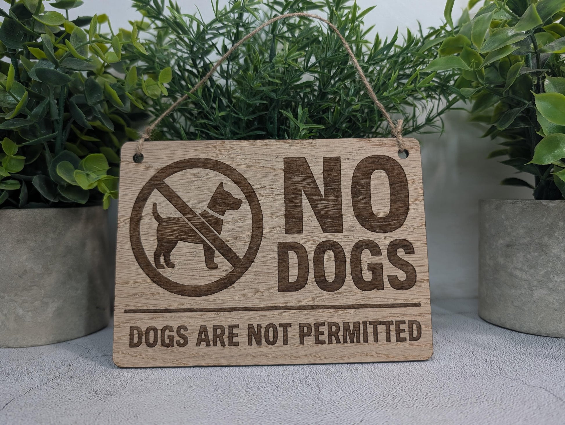 No Dogs Allowed sign shown in four sizes, oak veneer