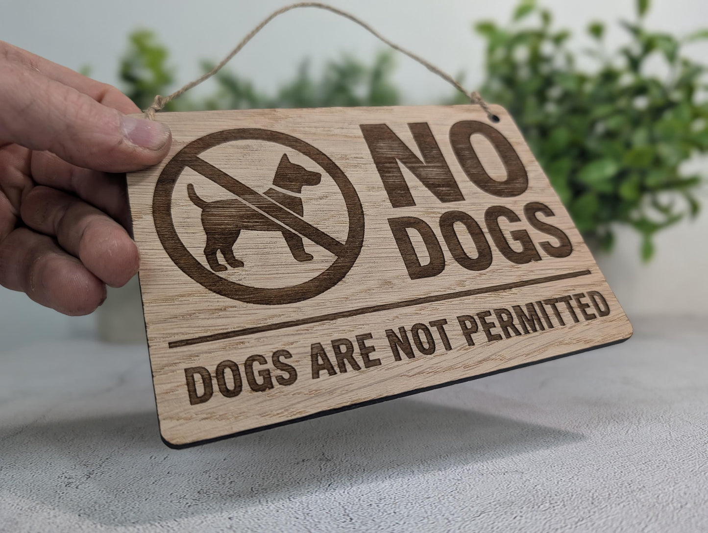 Dogs Not Permitted oak veneer sign close-up detail