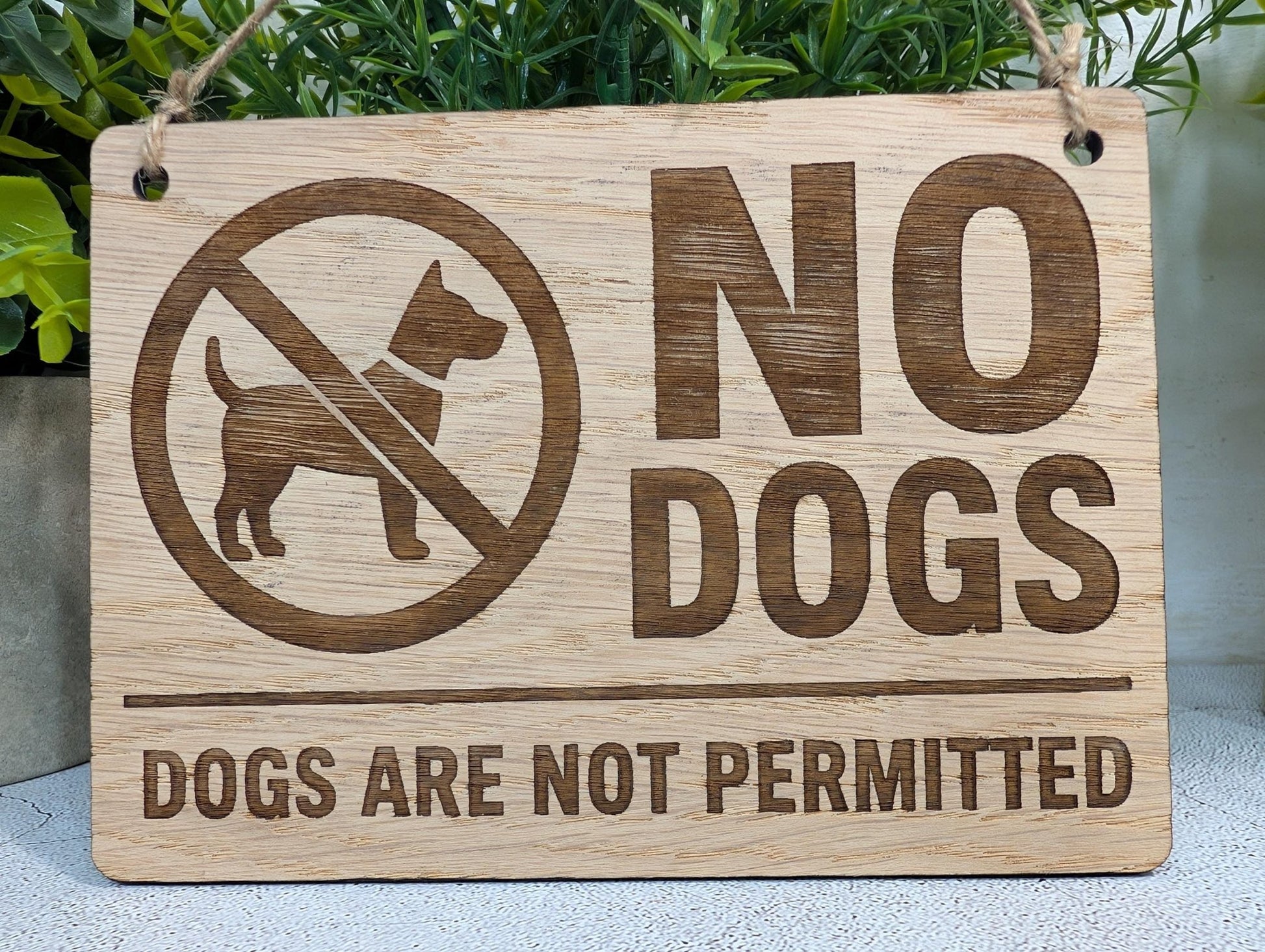No Dogs Allowed sign with two holes and a jute twine hanging loop