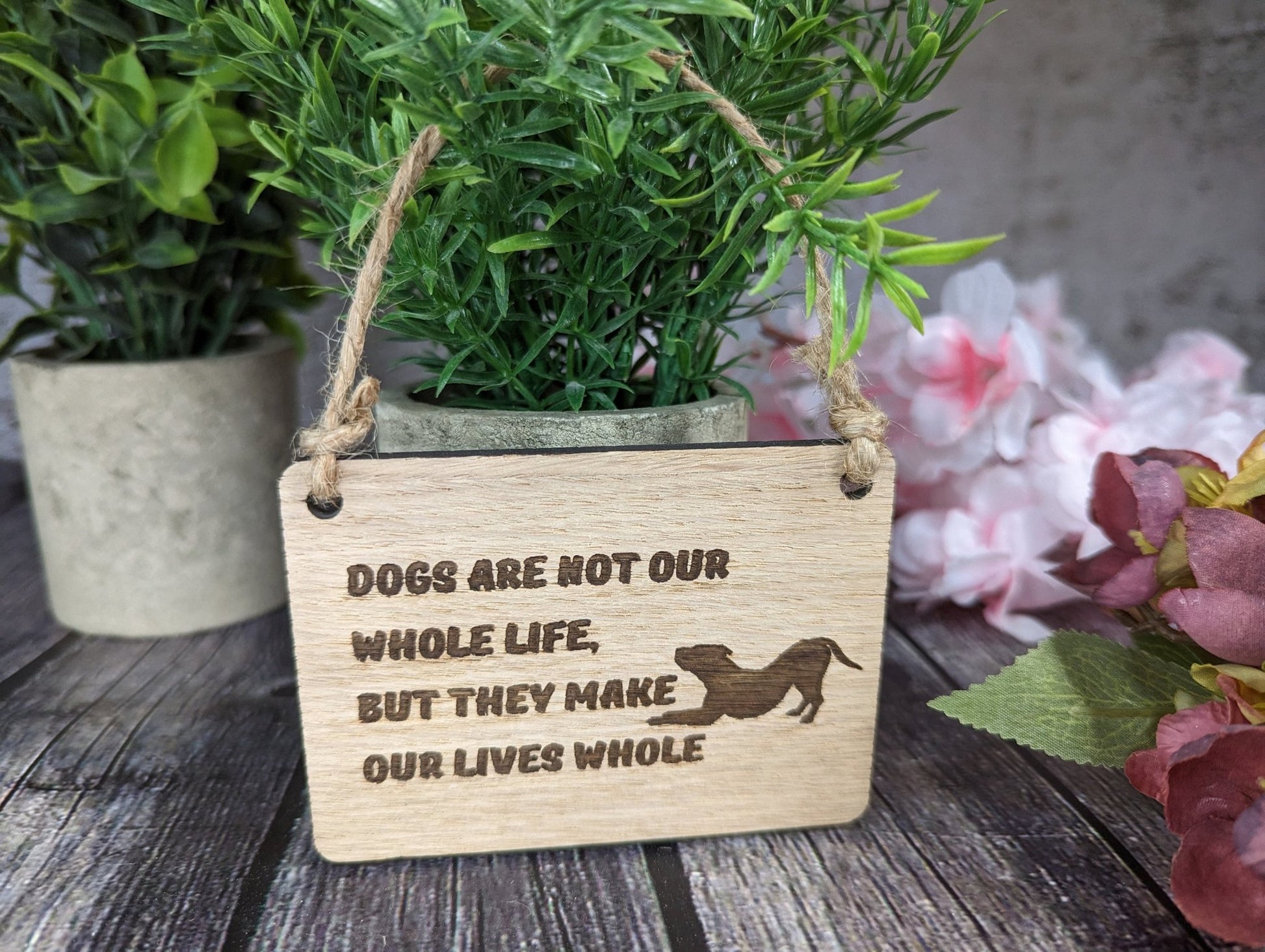 Dogs Are Not Our Whole Life, But They Make Our Life Whole, Wooden Sign | Wooden Hanging Sign for Dog Lovers | Doggy Birthday Gift - CherryGroveCraft